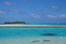 On to the Tuomotos...the atoll Raroia
